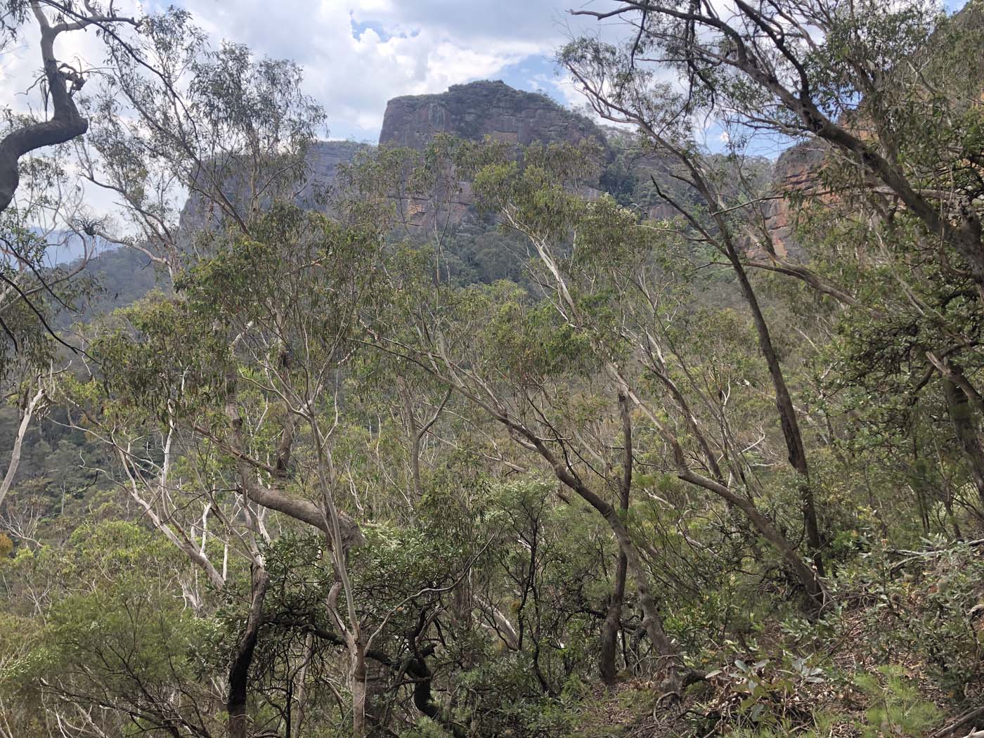 Porters pass hike (20)