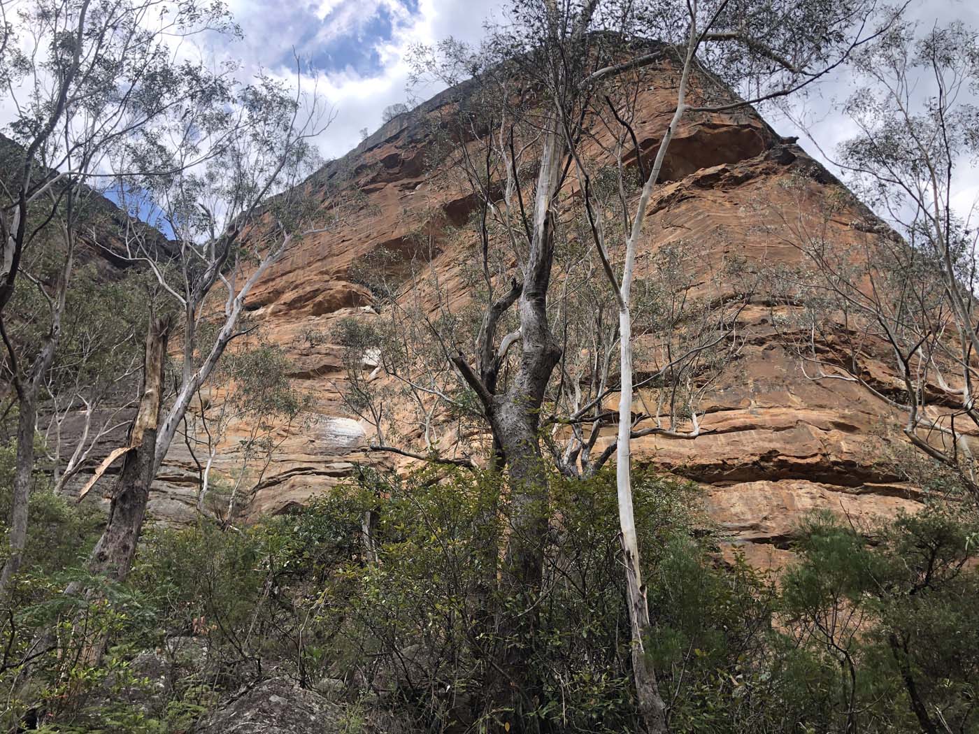 Porters pass hike (21)