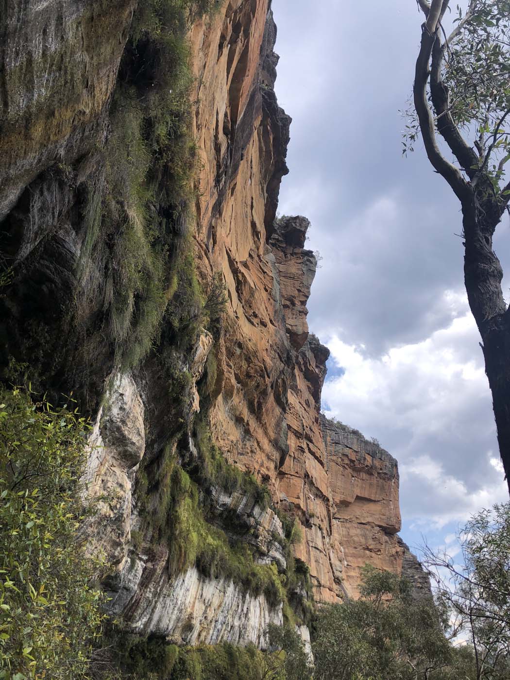 Porters pass hike (24)