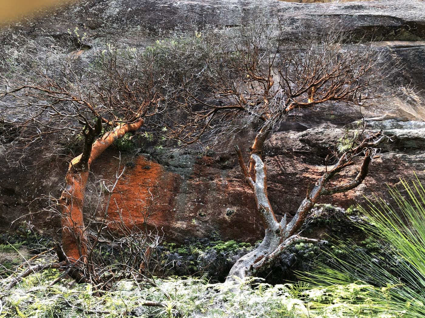 Porters pass hike (25)