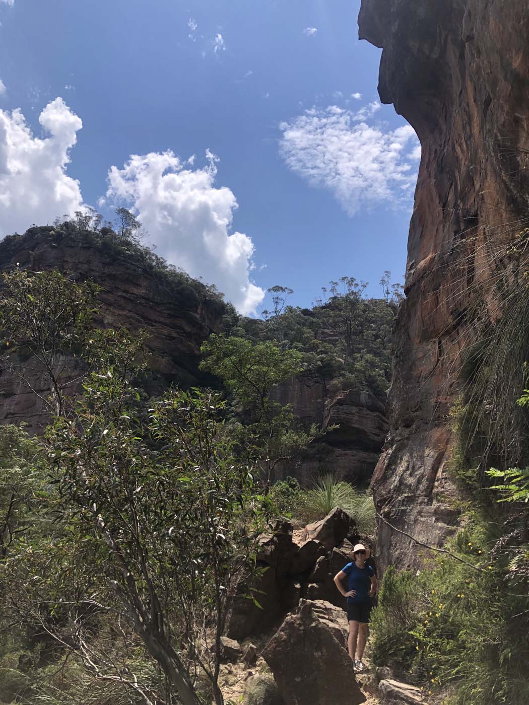 Porters pass hike (26)