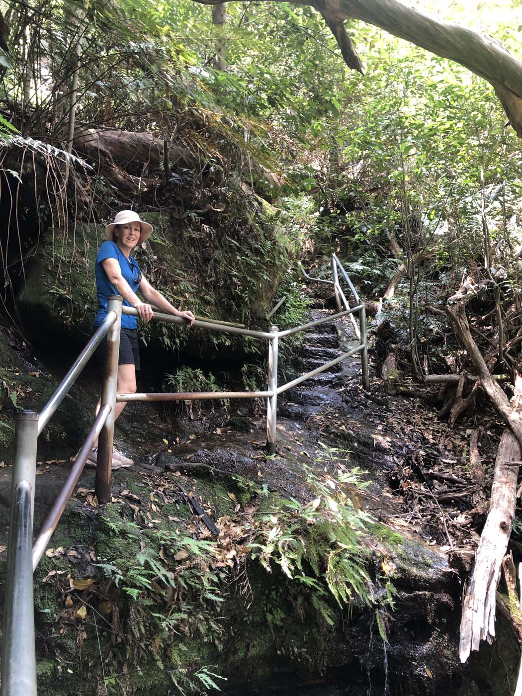 Porters pass hike (28)