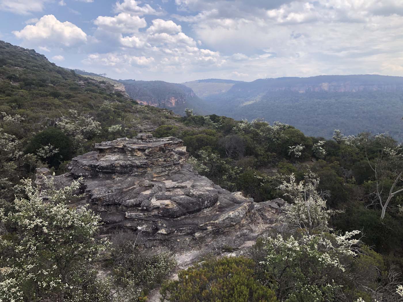 Porters pass hike (31)