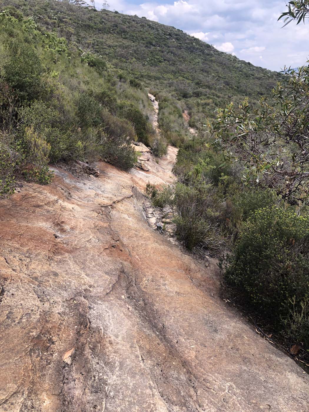 Porters pass hike (33)