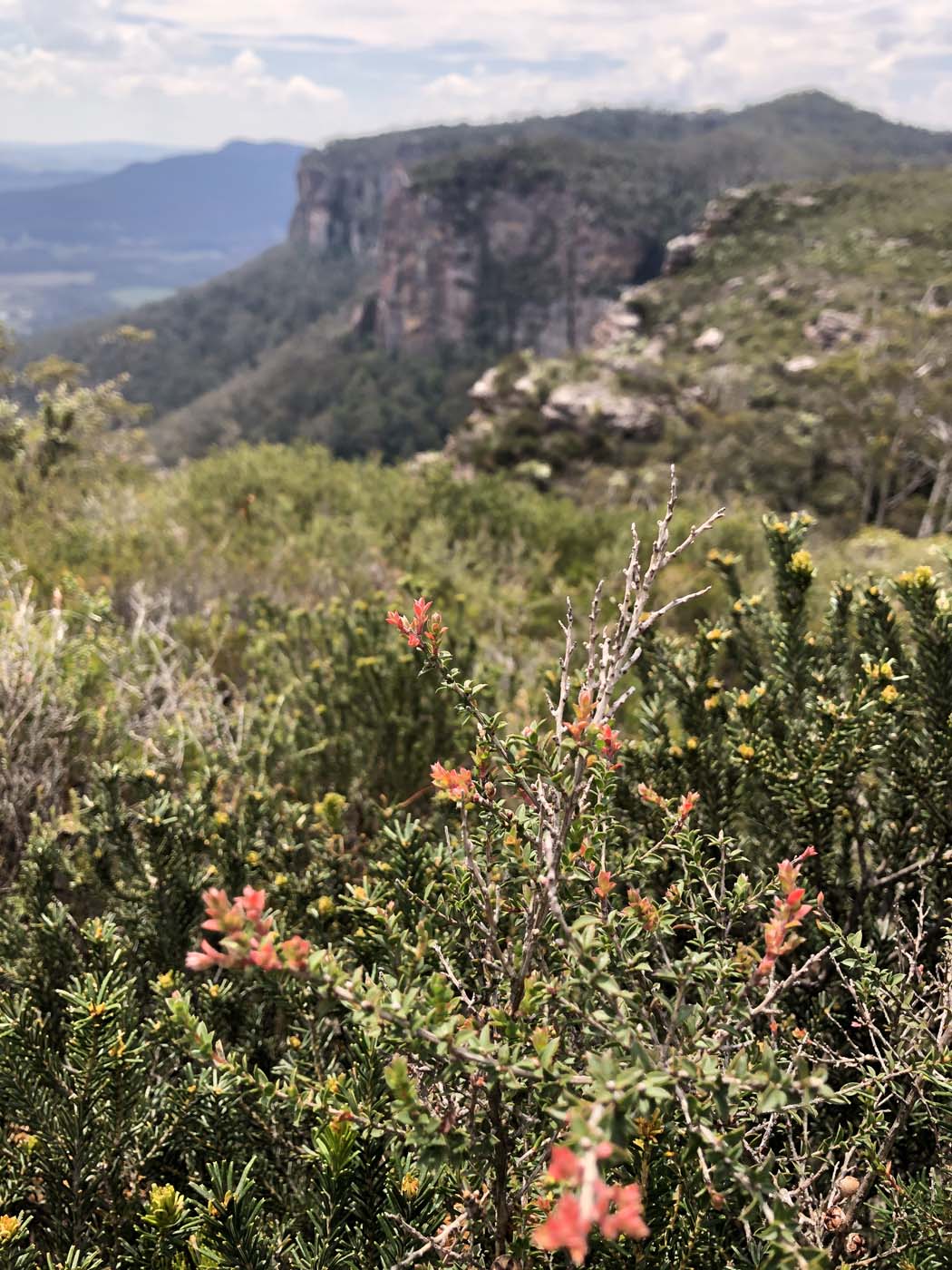 Porters pass hike (34)