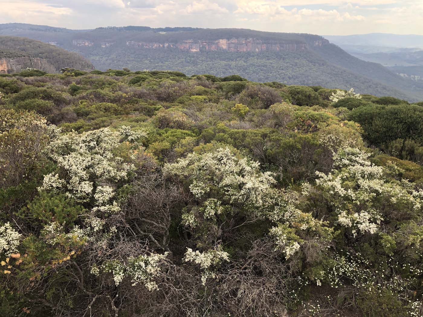 Porters pass hike (37)