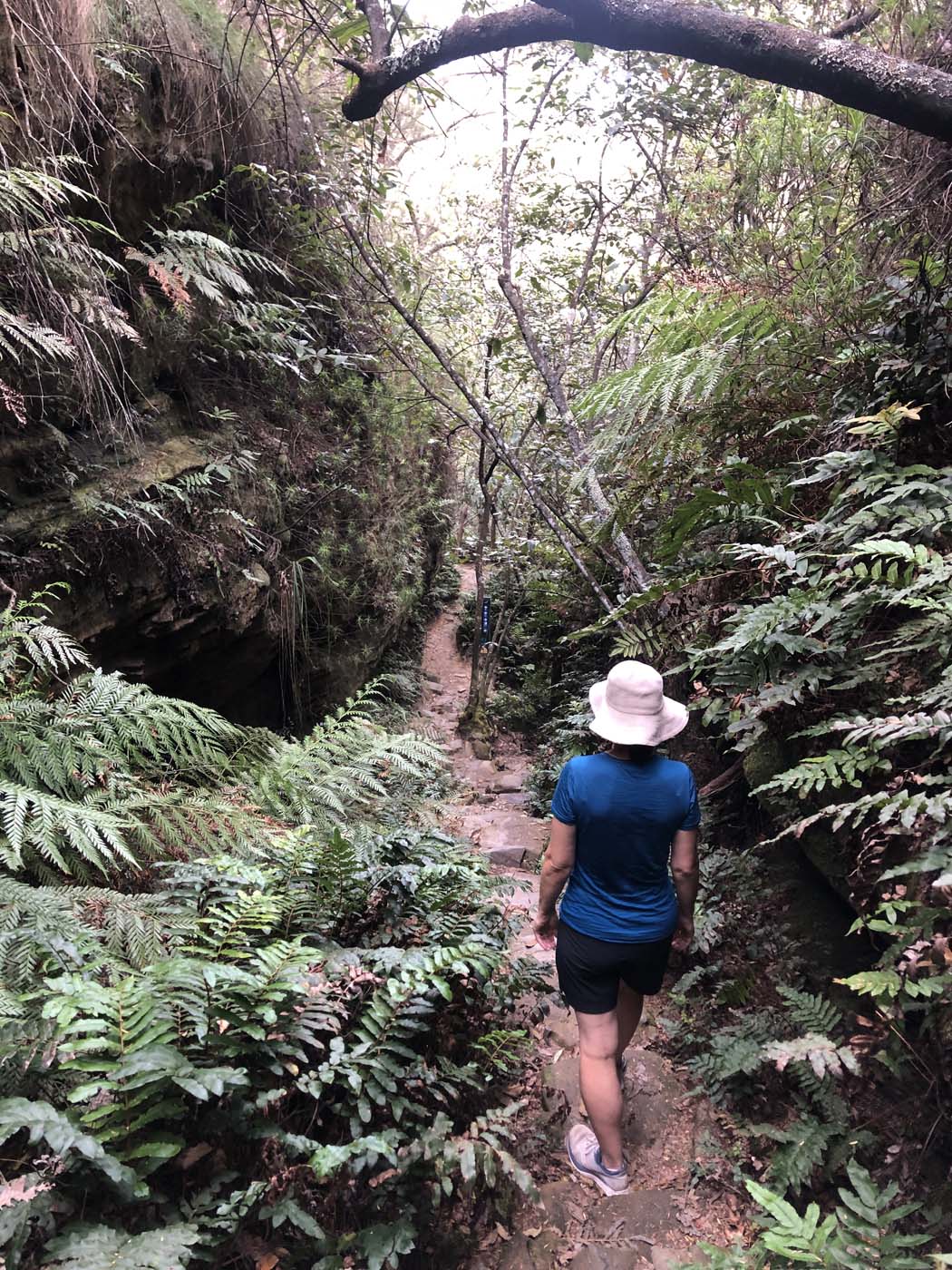 Porters pass hike (38)