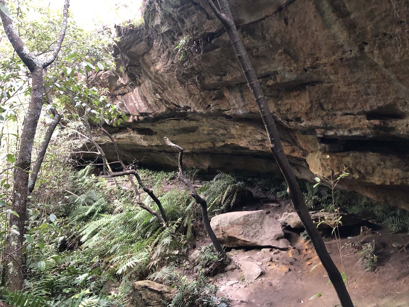 Porters pass hike (39)