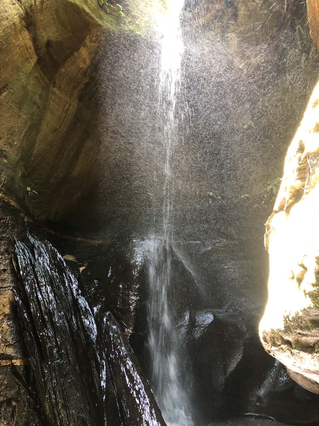 Porters pass hike (4)