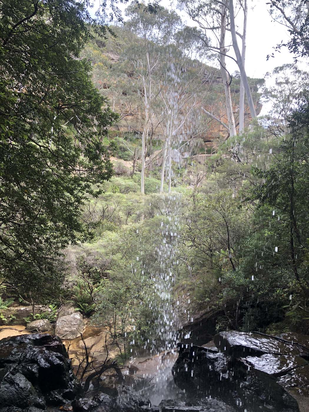 Porters pass hike (42)