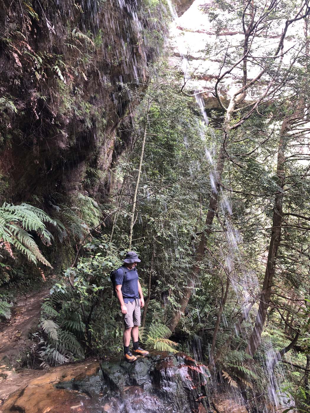 Porters pass hike (43)