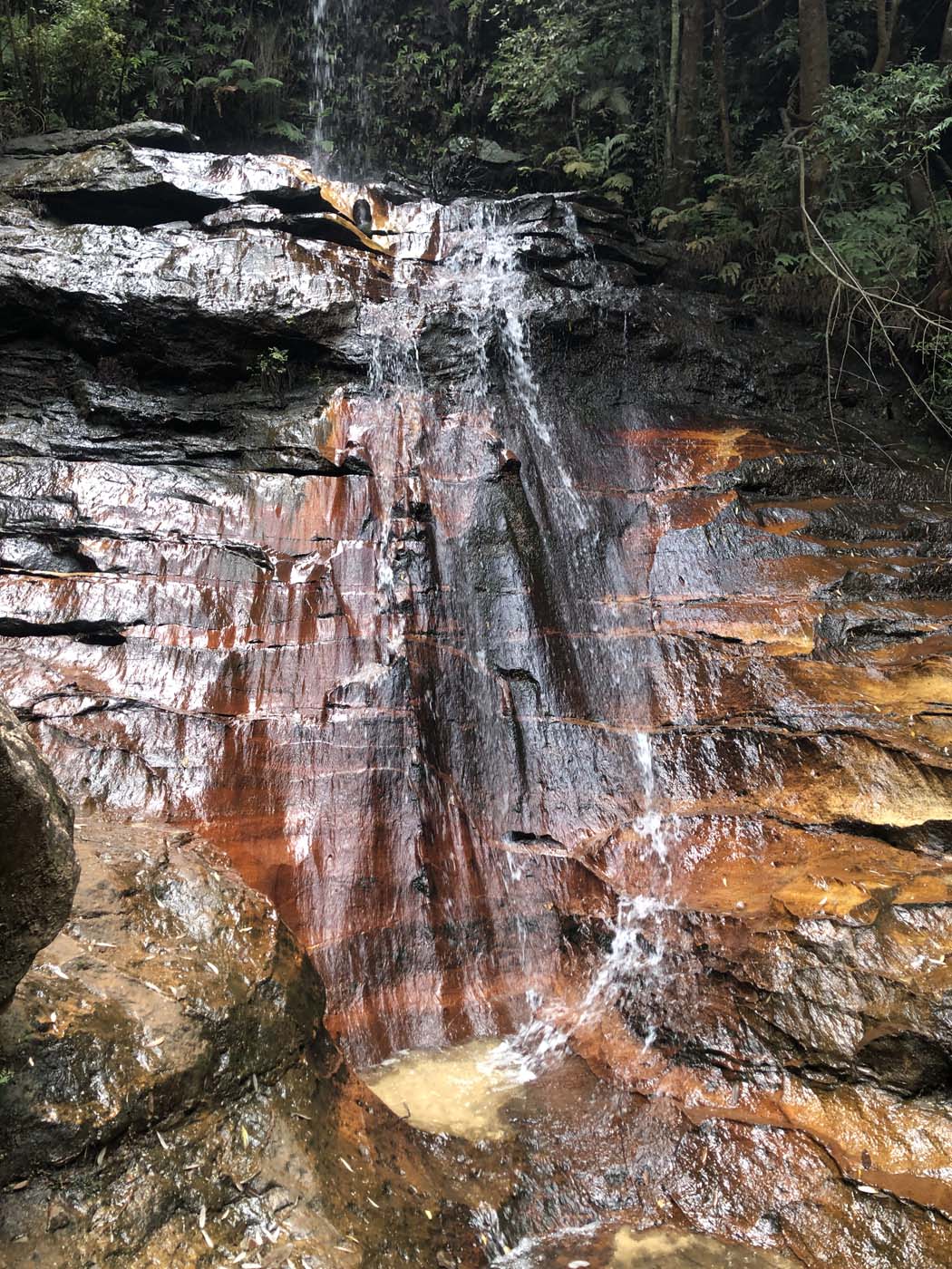 Porters pass hike (46)