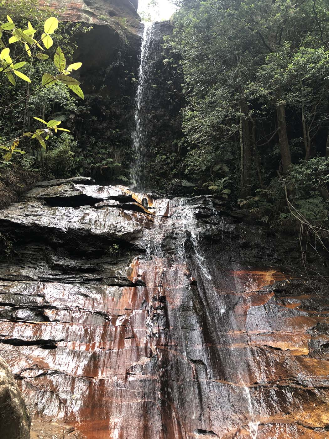Porters pass hike (47)
