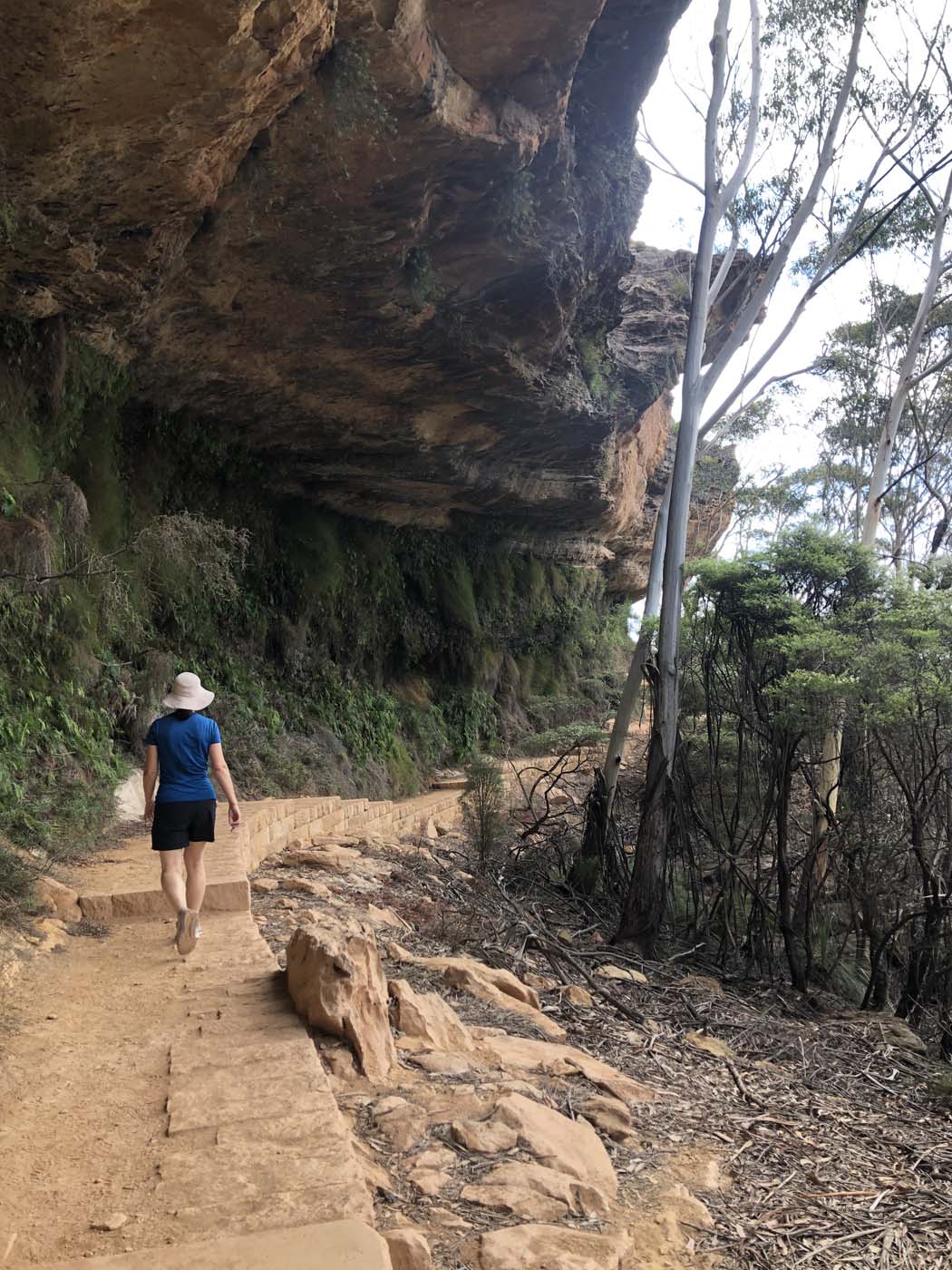 Porters pass hike (51)