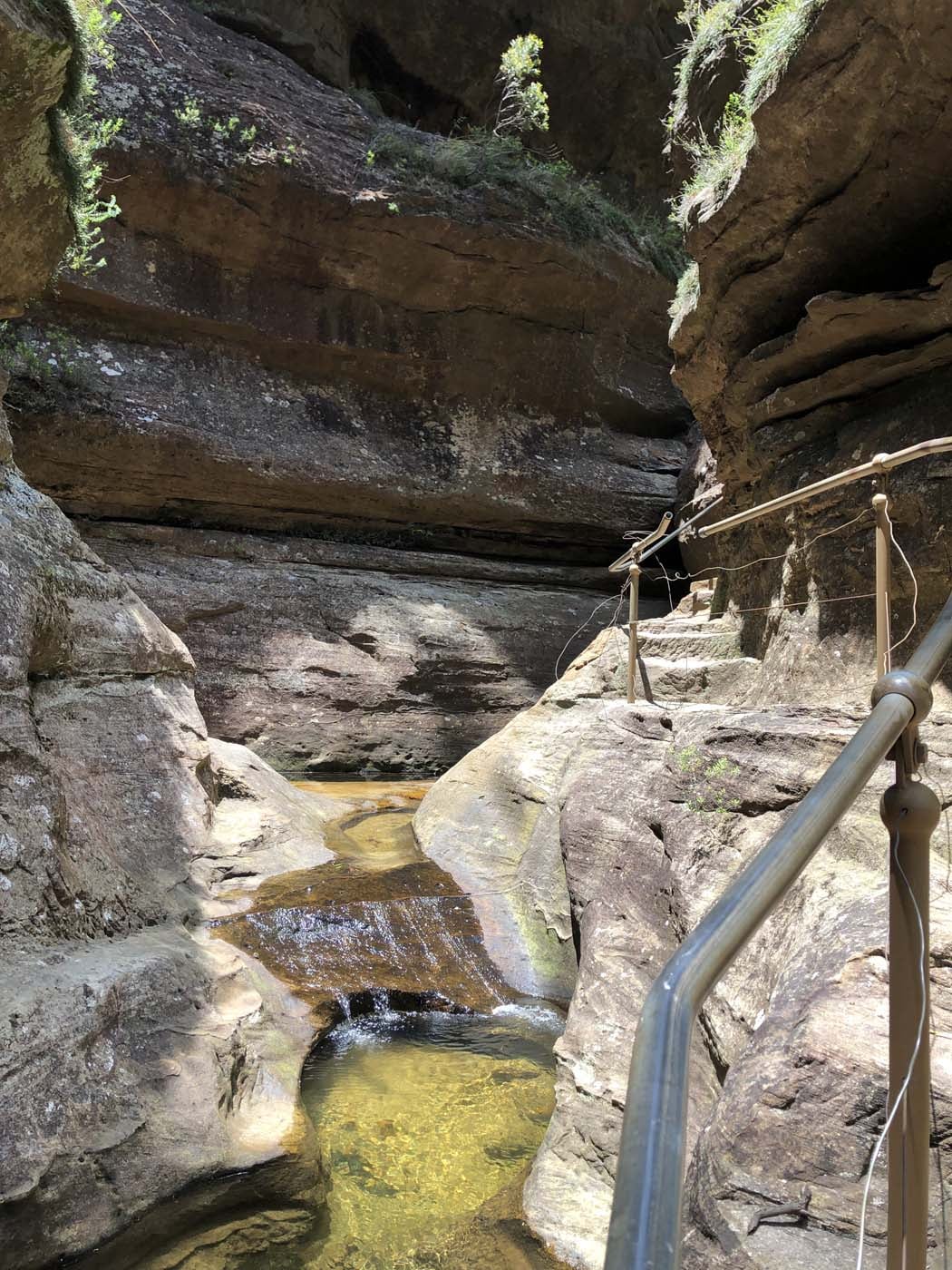 Porters pass hike (7)