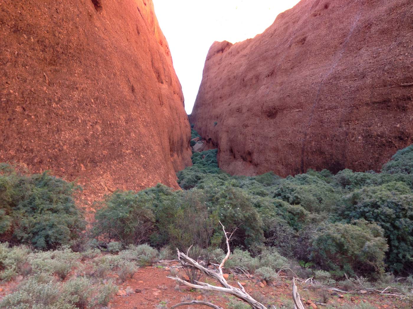 Walpa gorge walk uluru kata tjuta 12
