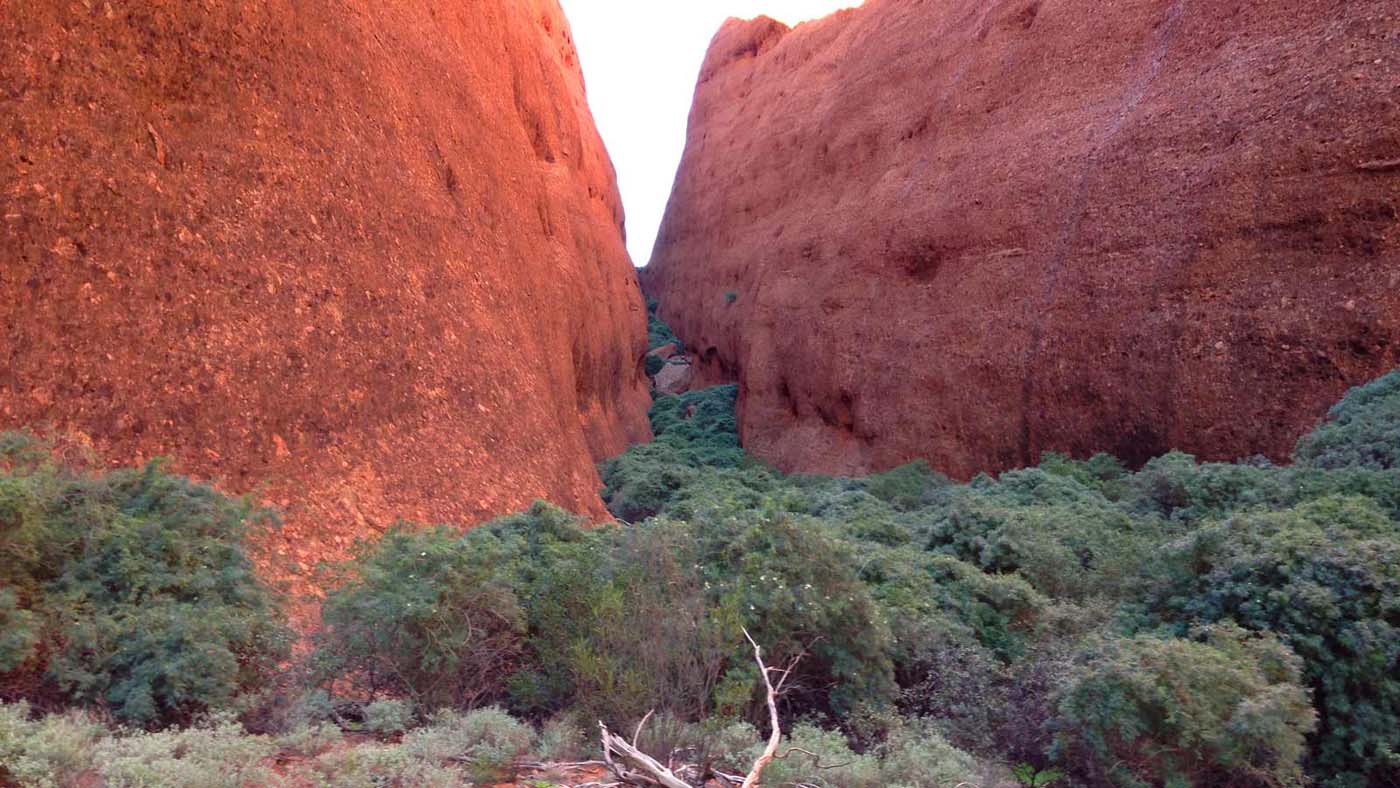 Walpa gorge walk uluru kata tjuta 2
