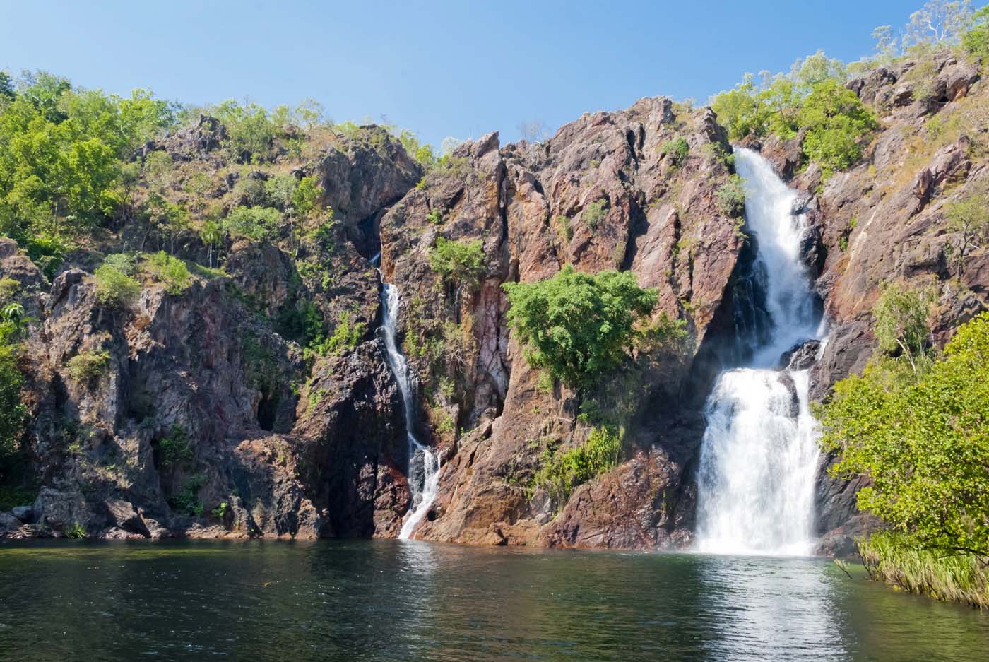 Wangi falls litchfield (1)