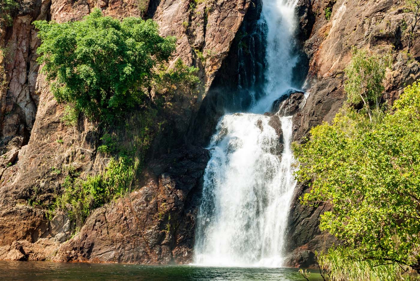 Wangi falls litchfield (2)