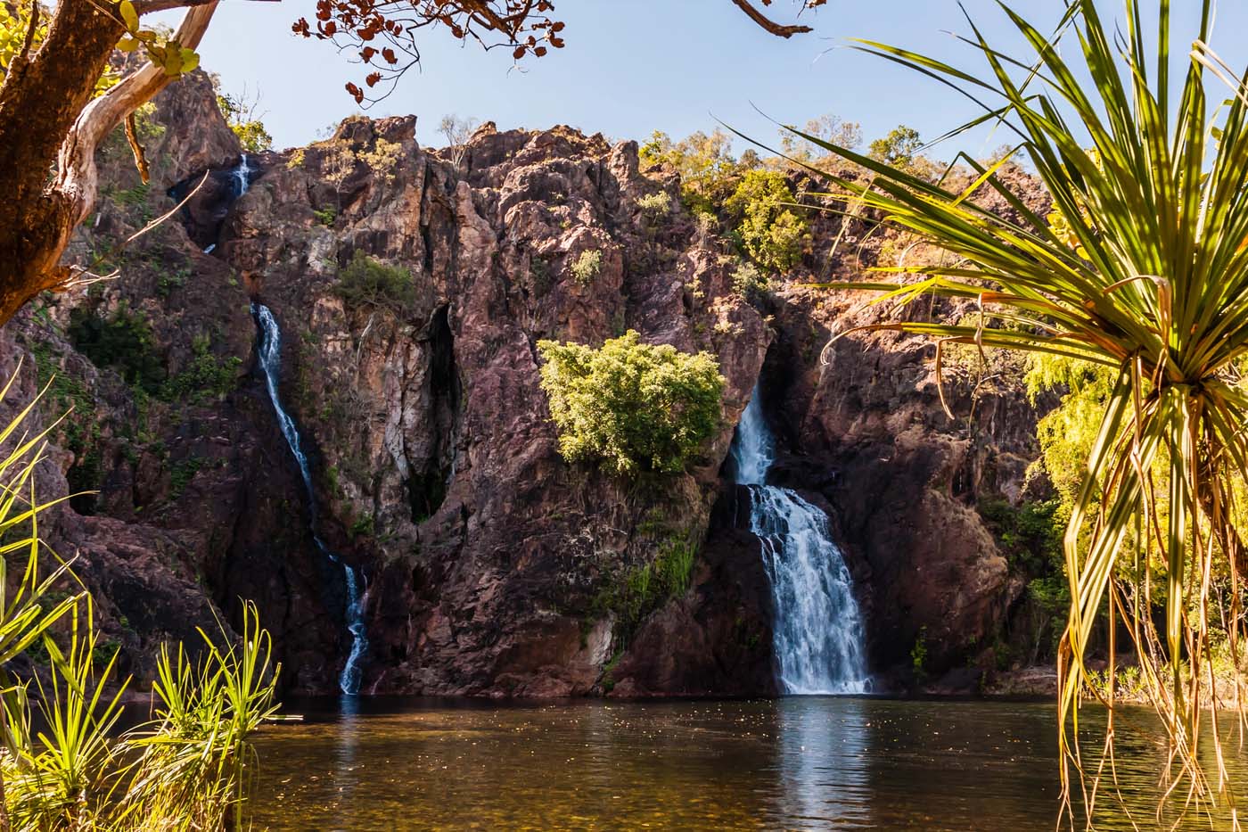 Wangi falls litchfield (3)