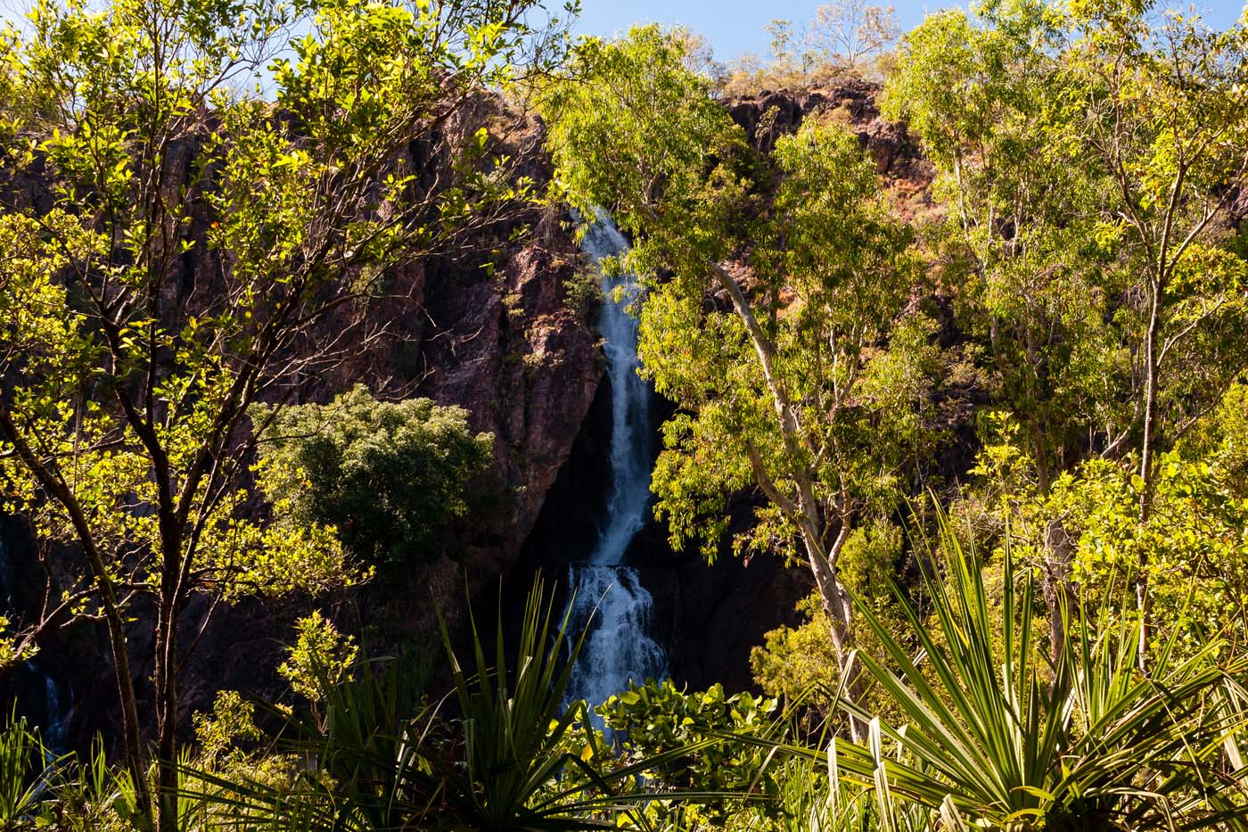 Wangi falls litchfield (4)