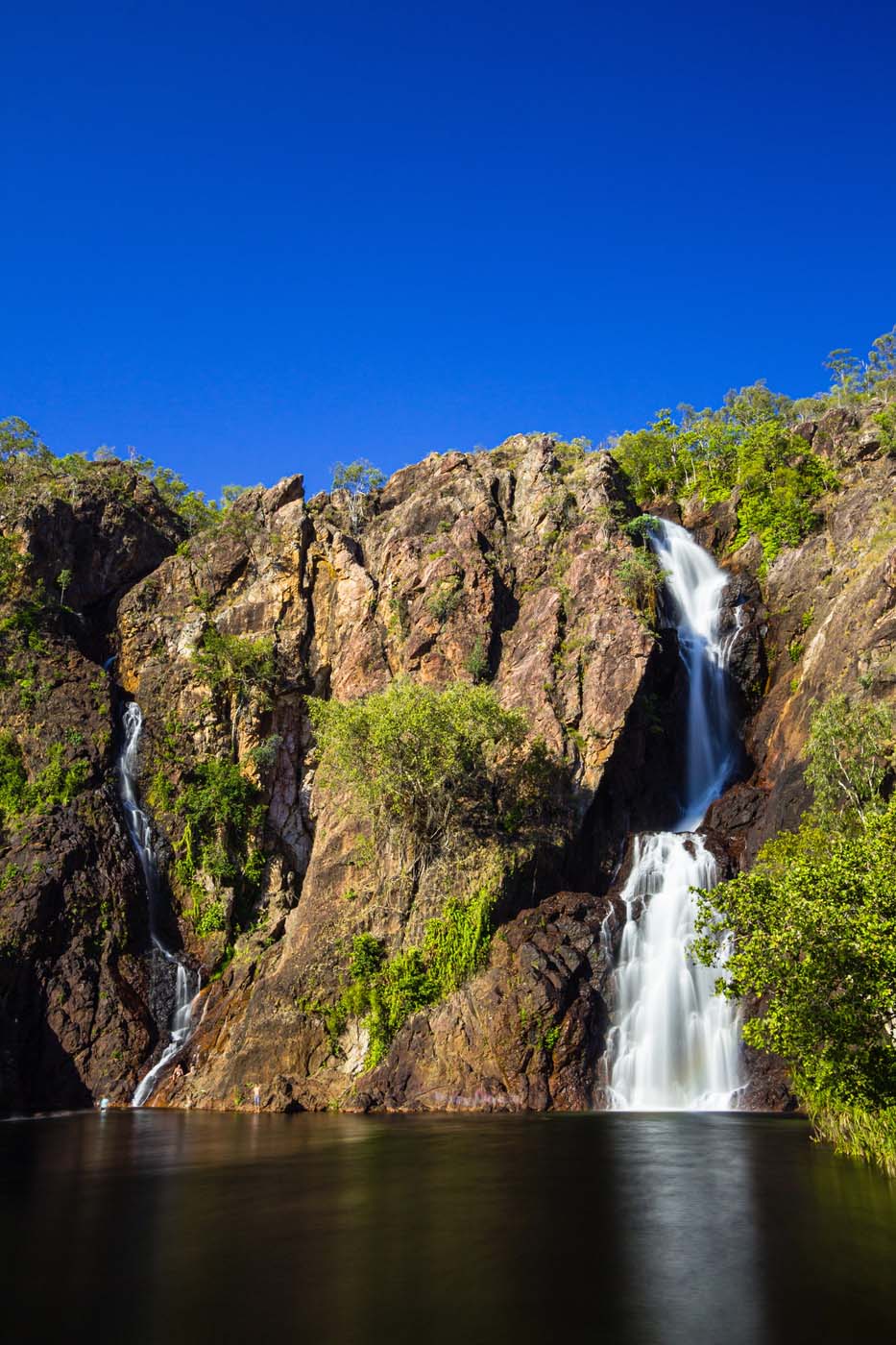 Wangi falls litchfield (7)