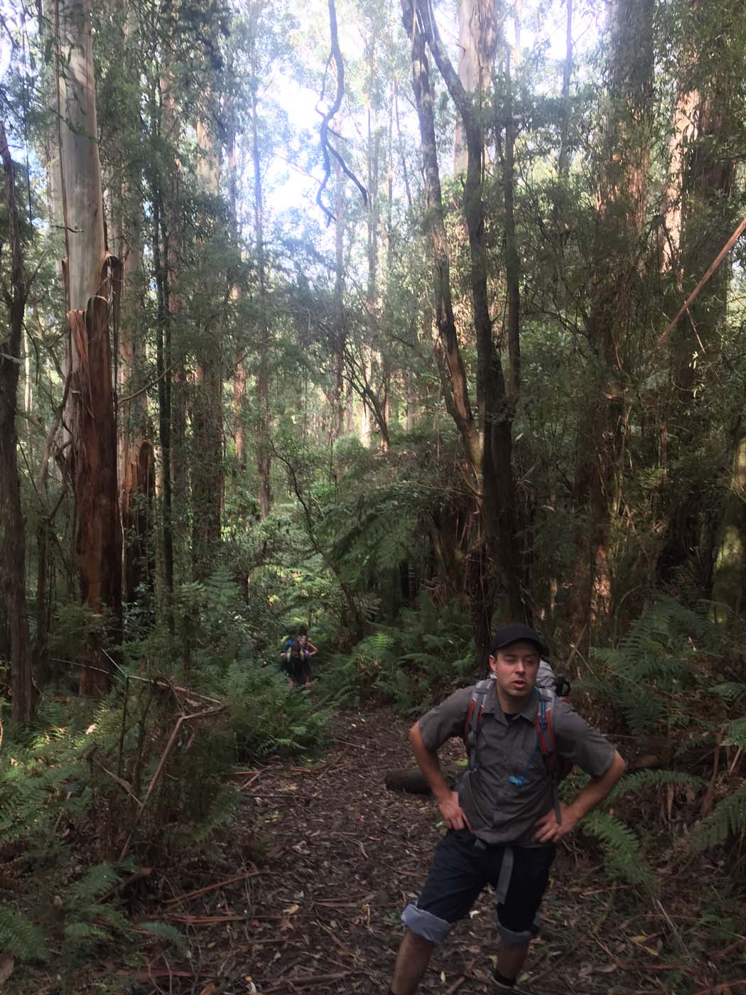 Warburton to mt donna buang (1)