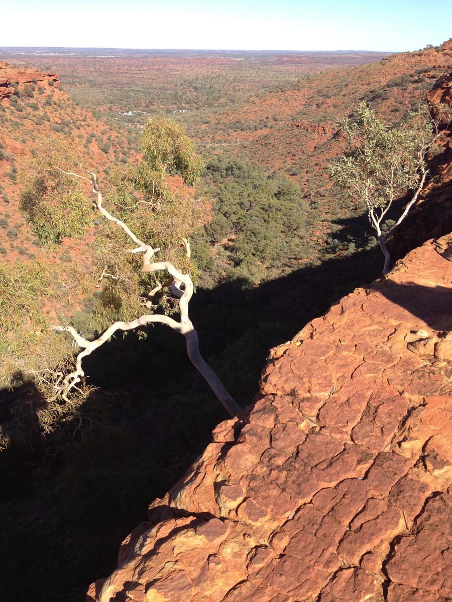 Watarrka rim walk 12