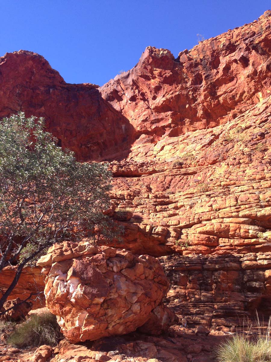 Watarrka rim walk 7