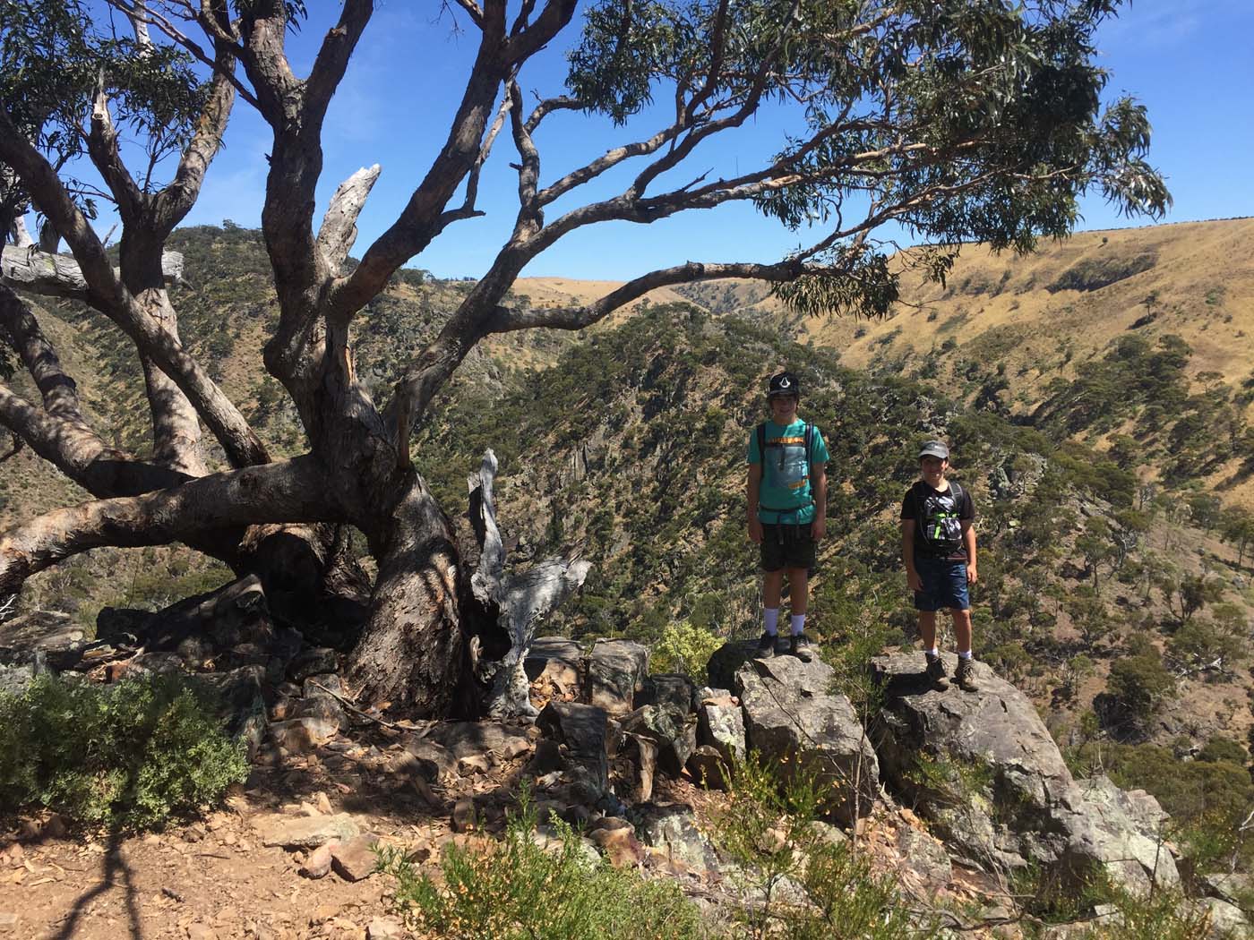 Werribee gorge circuit (15)