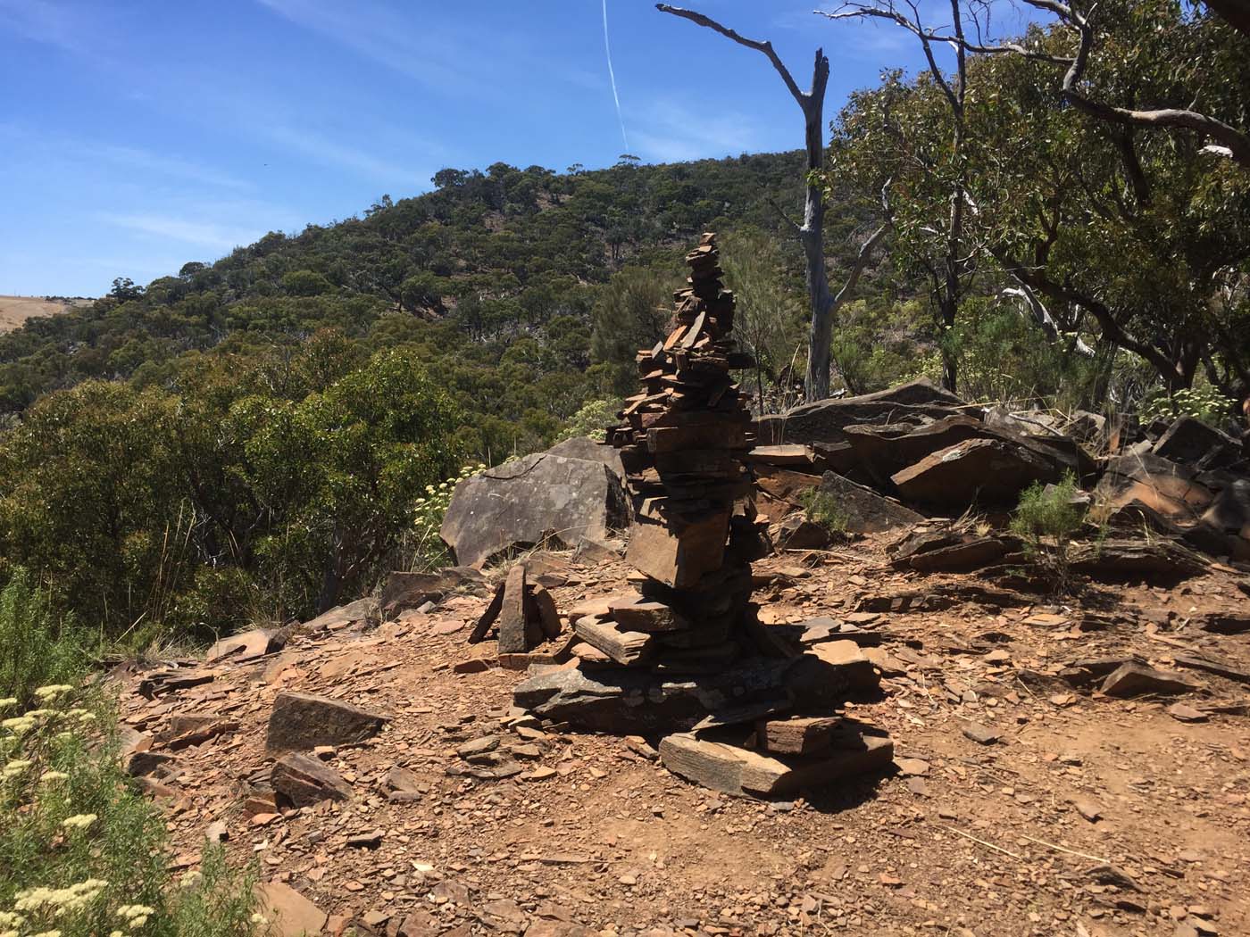 Werribee gorge circuit (18)