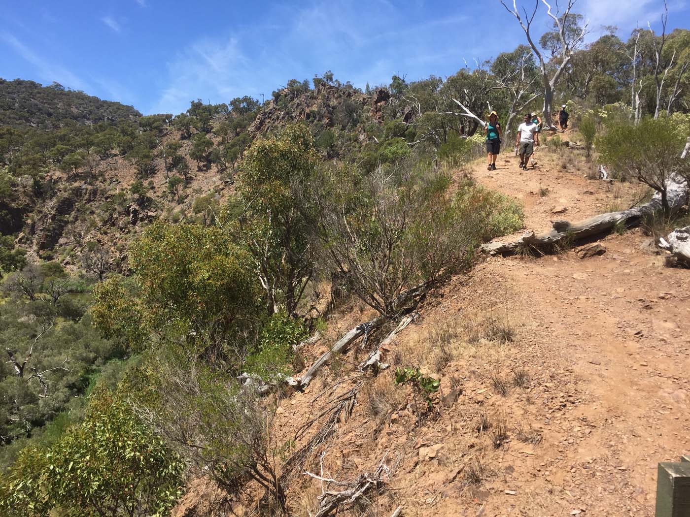 Werribee gorge circuit (19)