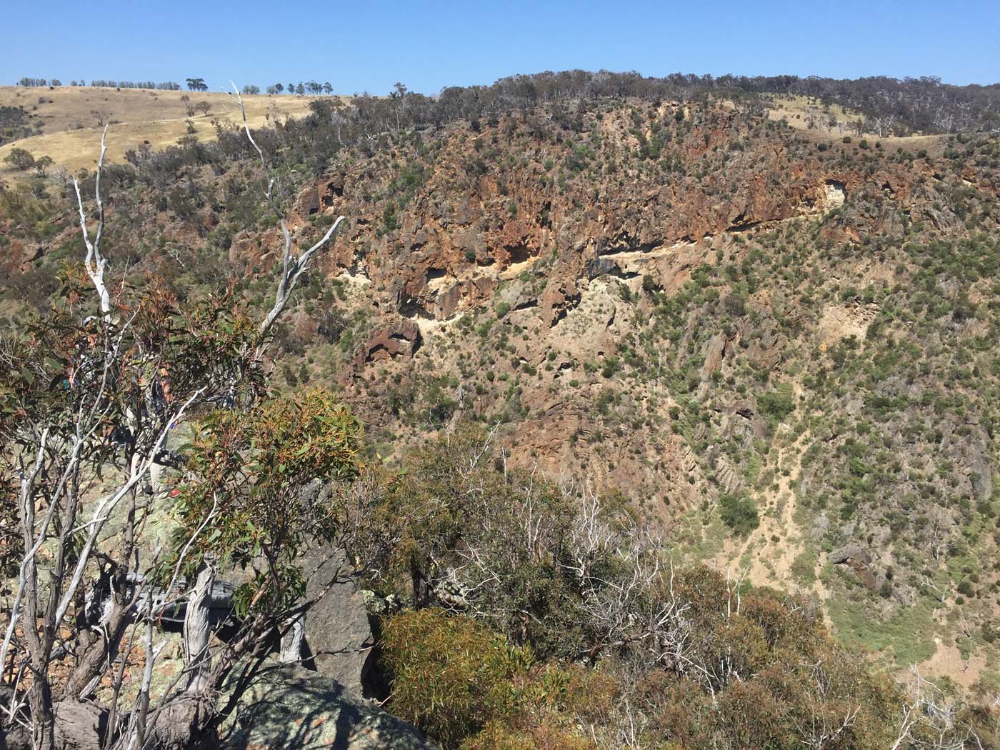 Werribee gorge circuit (4)