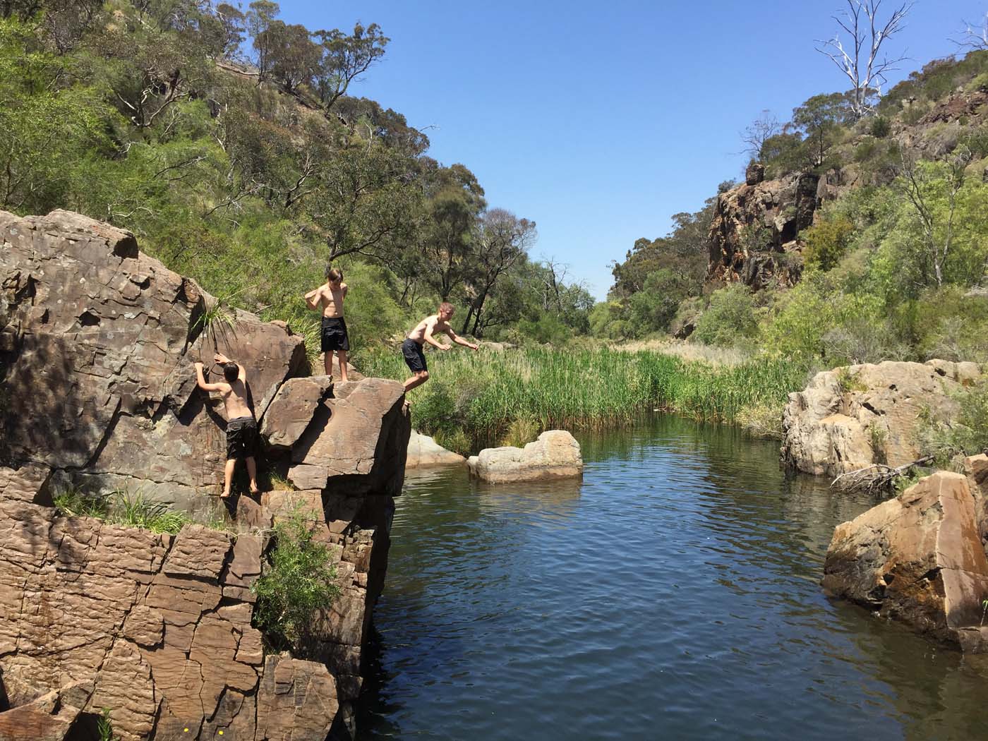 Werribee gorge circuit (8)