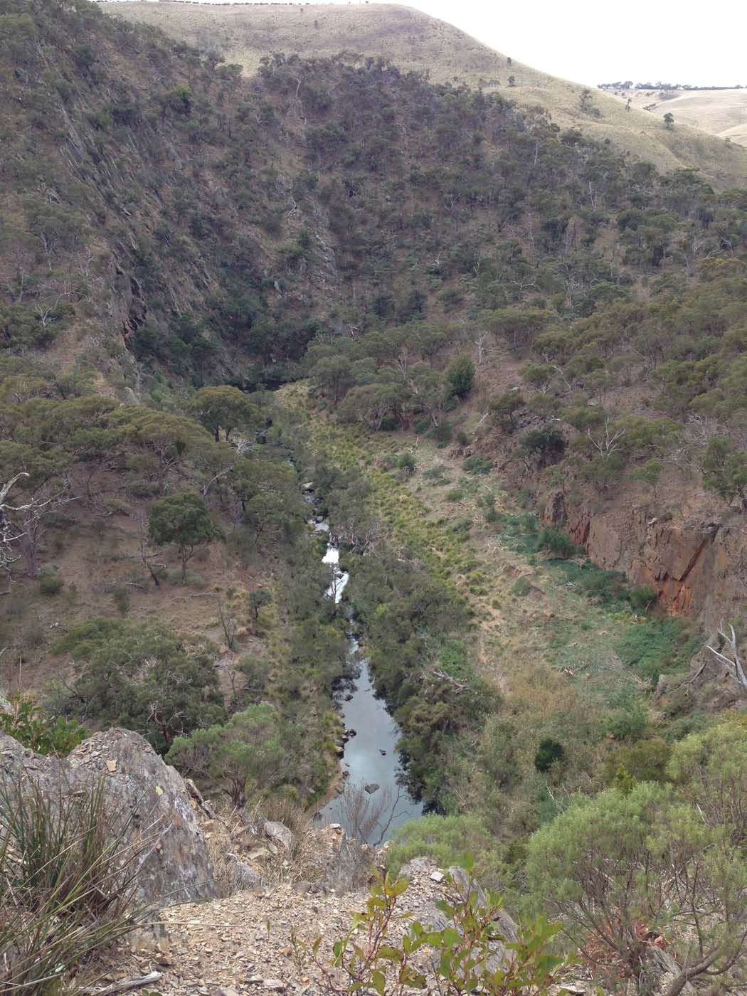 Werribee gorge circuit via shelter shed hike (10)