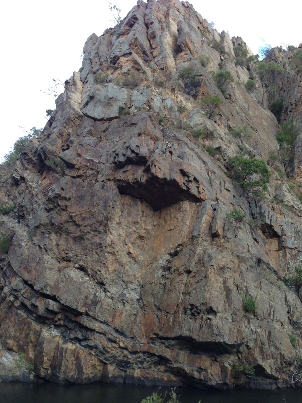 Werribee gorge circuit via shelter shed hike (14)