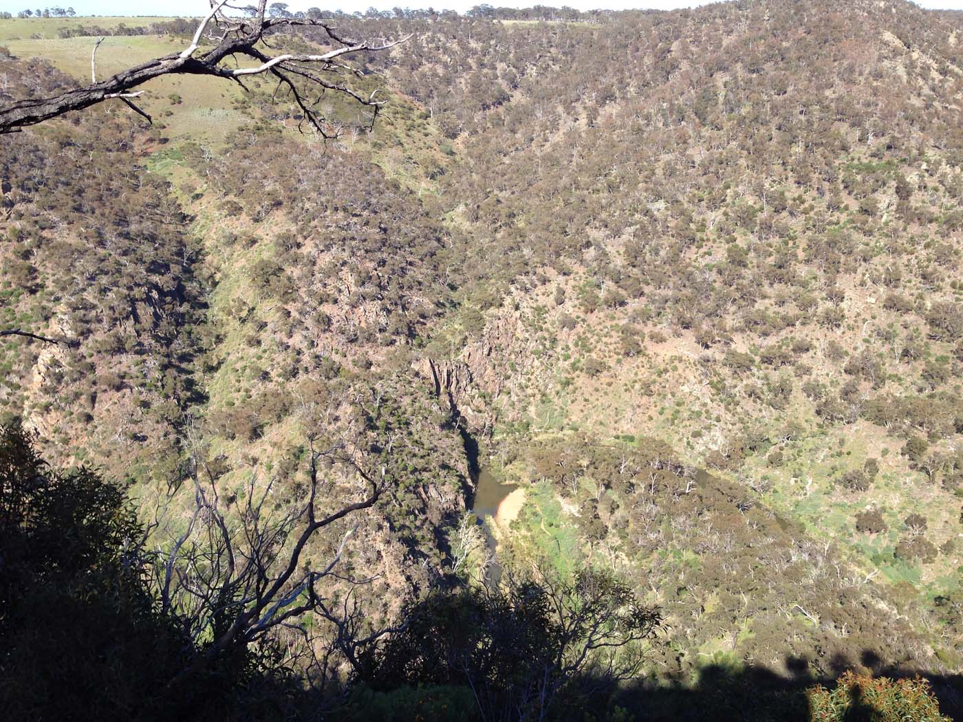 Werribee gorge circuit via shelter shed hike (26)