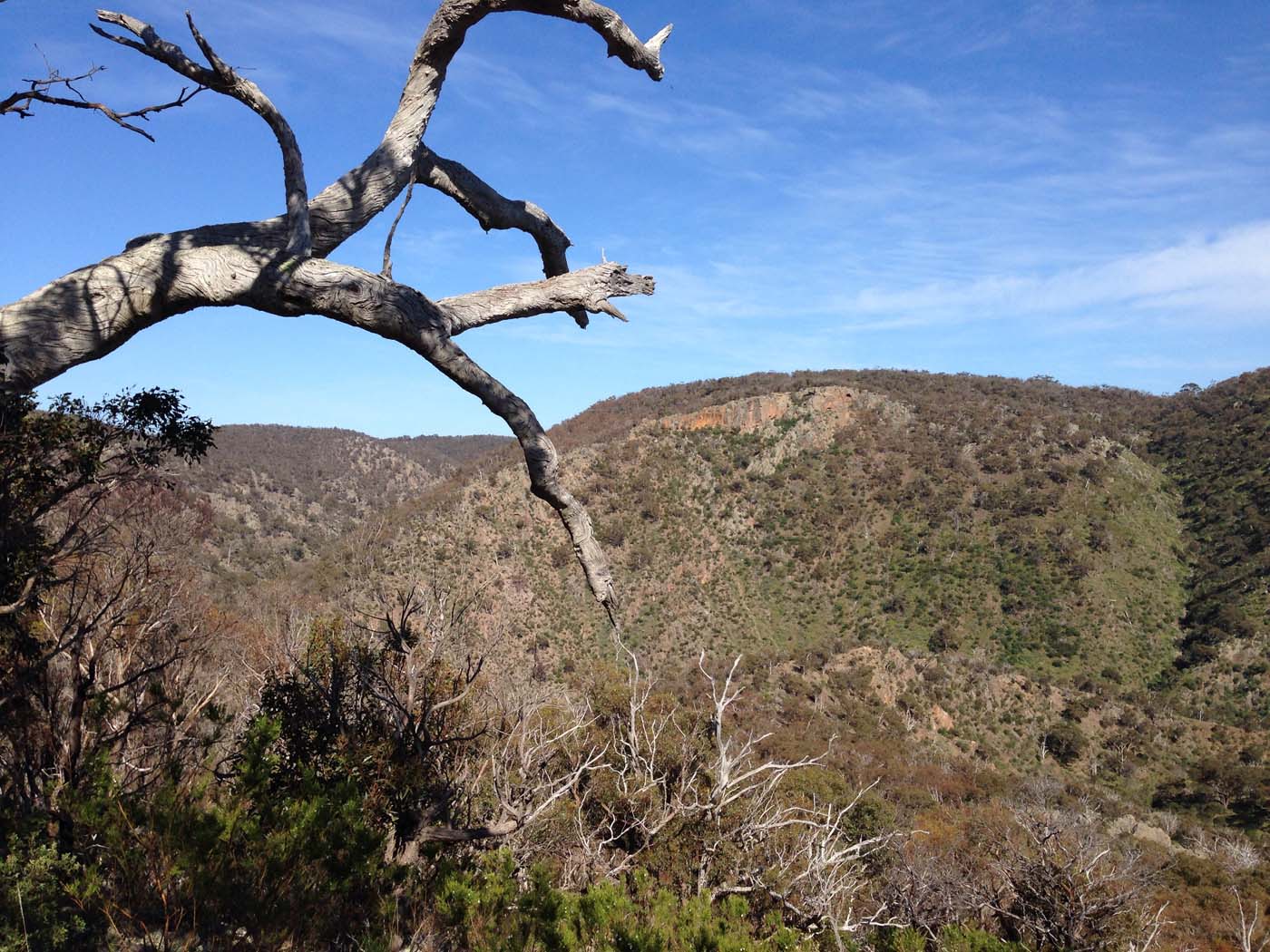 Werribee gorge circuit via shelter shed hike (28)