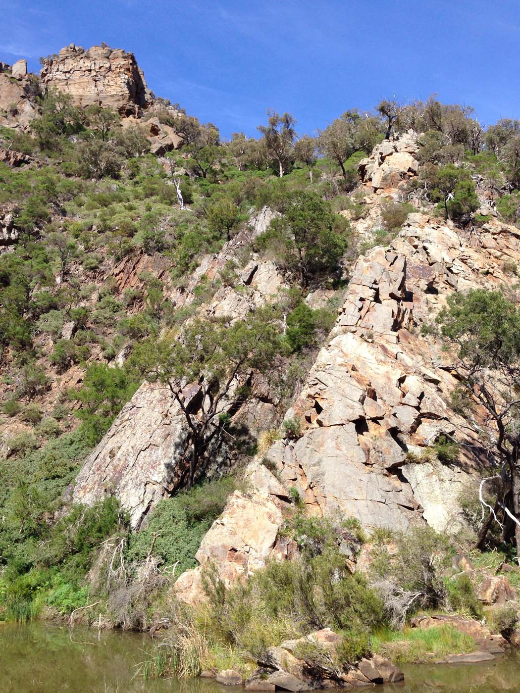 Werribee gorge circuit via shelter shed hike (35)