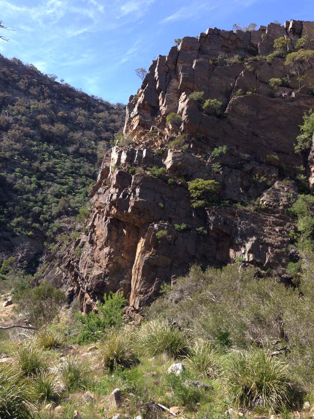 Werribee gorge circuit via shelter shed hike (36)