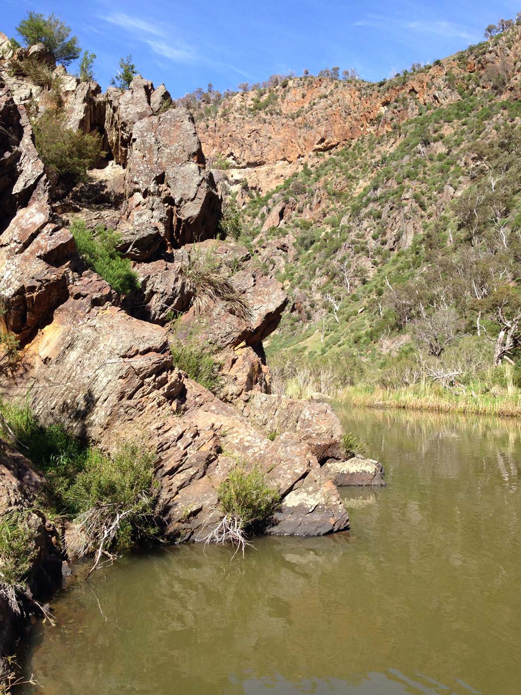 Werribee gorge circuit via shelter shed hike (37)