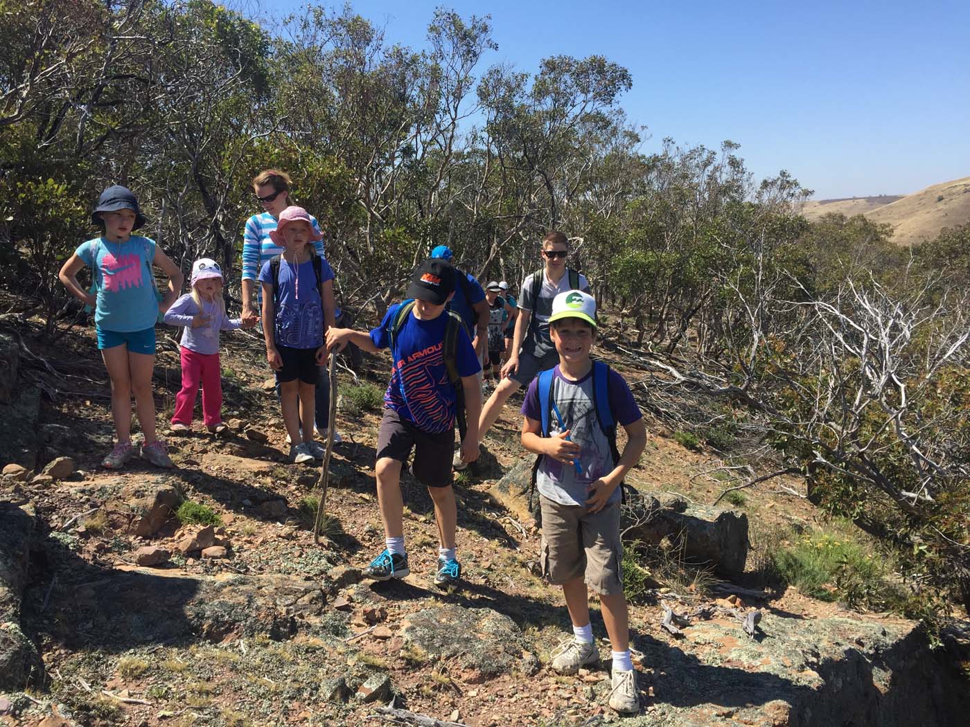 Werribee gorge circuit via shelter shed hike (41)
