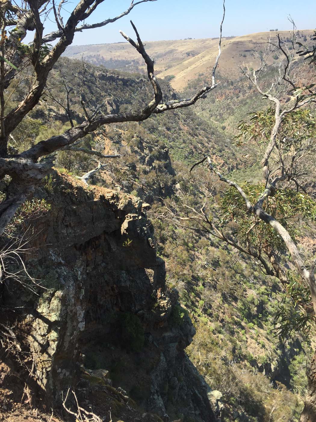 Werribee gorge circuit via shelter shed hike (42)