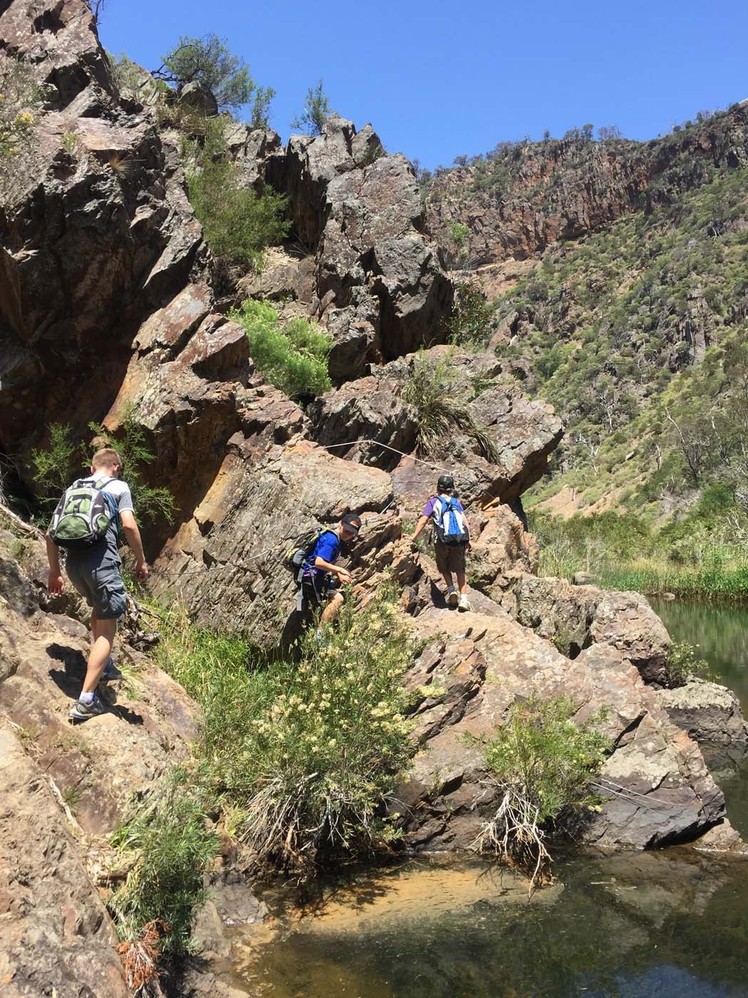 Werribee gorge circuit via shelter shed hike (48)