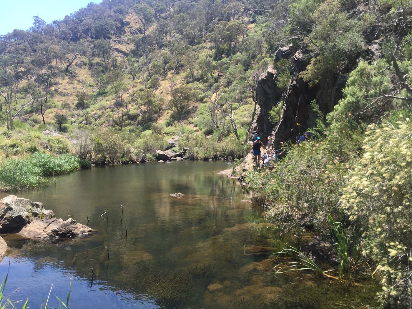 Werribee gorge circuit via shelter shed hike (49)