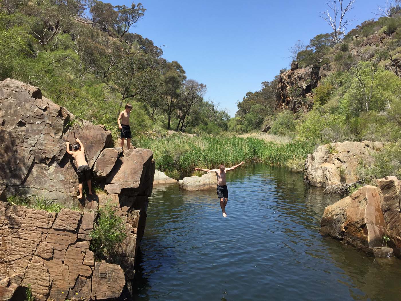 Werribee gorge circuit via shelter shed hike (51)