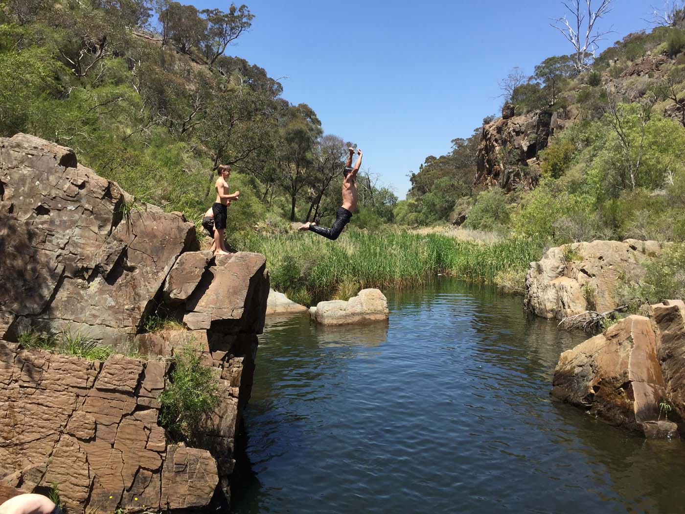 Werribee gorge circuit via shelter shed hike (53)