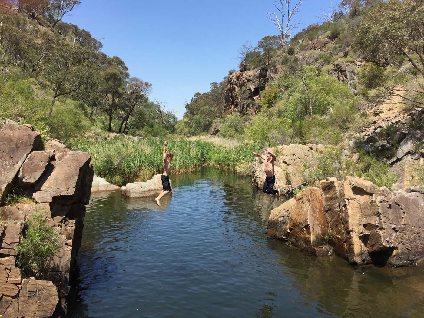 Werribee gorge circuit via shelter shed hike (58)