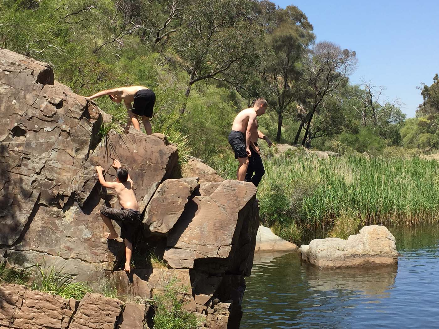 Werribee gorge circuit via shelter shed hike (59)