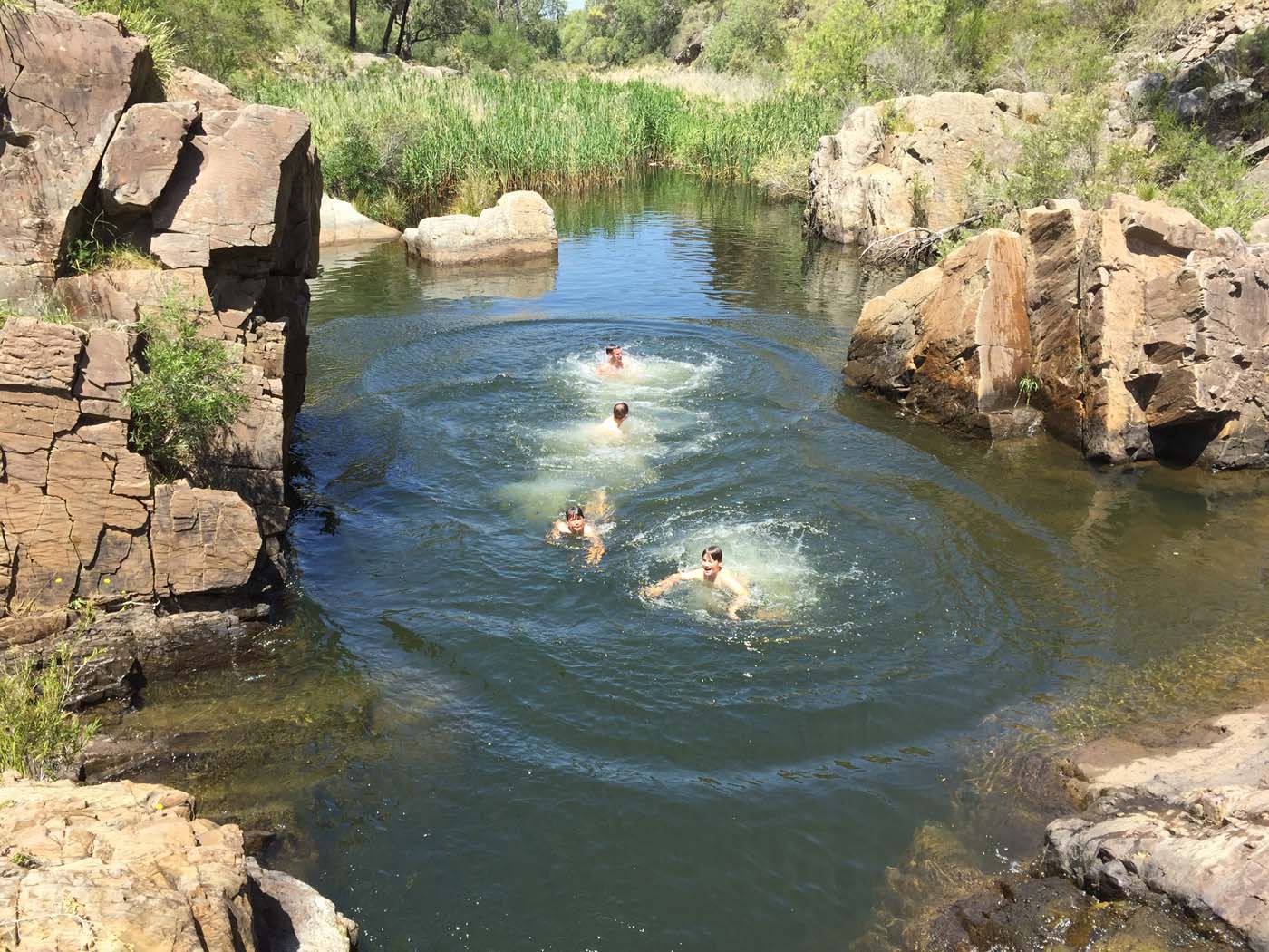 Werribee gorge circuit via shelter shed hike (62)